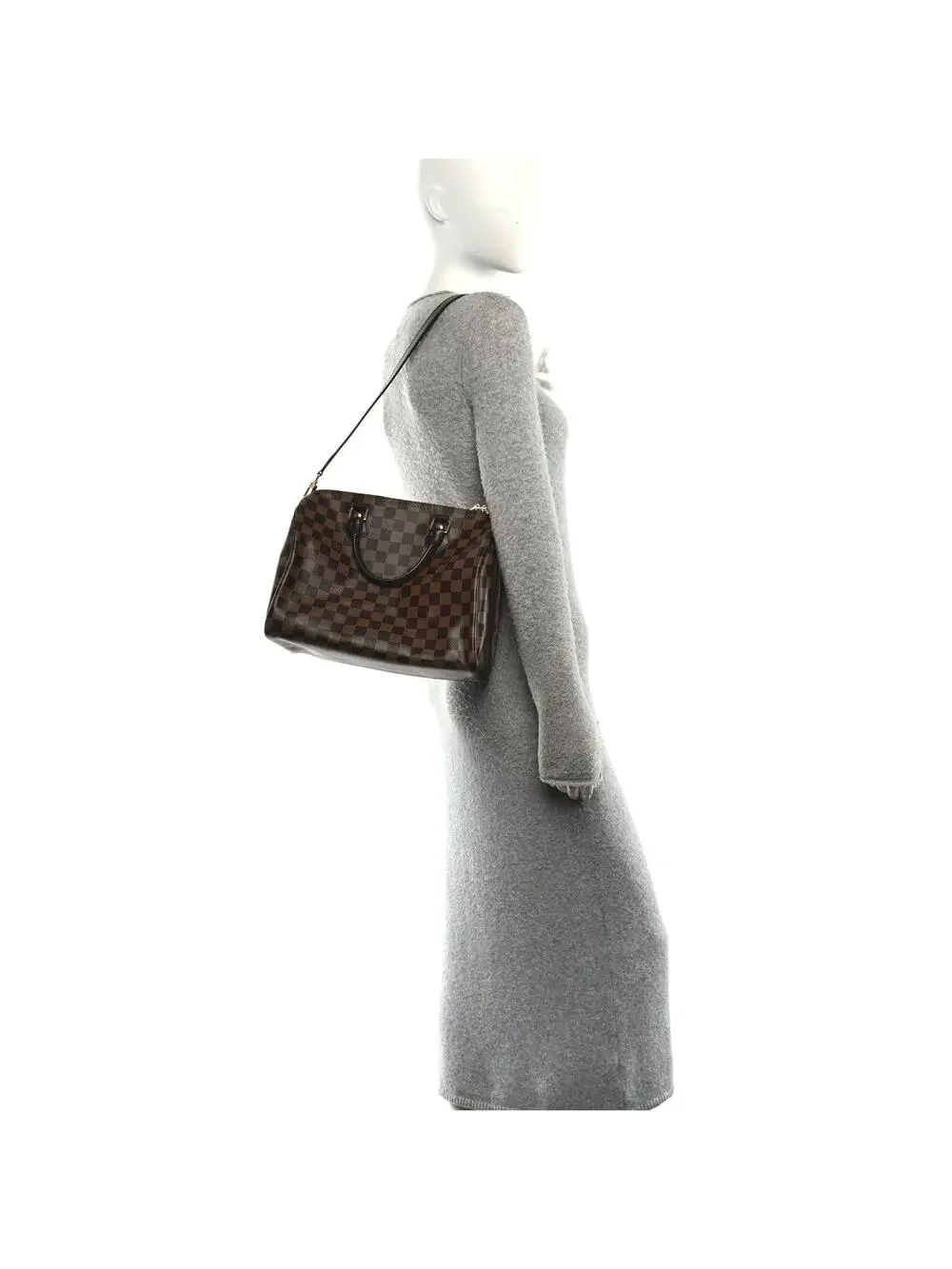 Louis Vuitton Damier Ebene Speedy #270498L17B